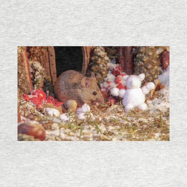 Winter mouse in a christmas house by Simon-dell